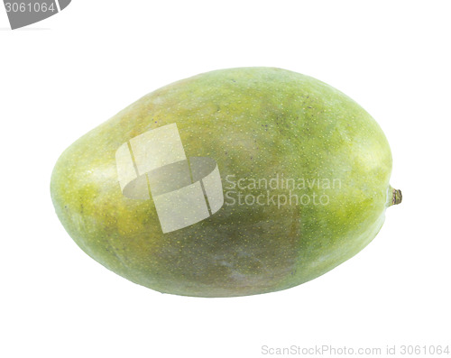 Image of Mango fruit 