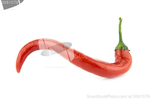 Image of Red hot chili pepper 