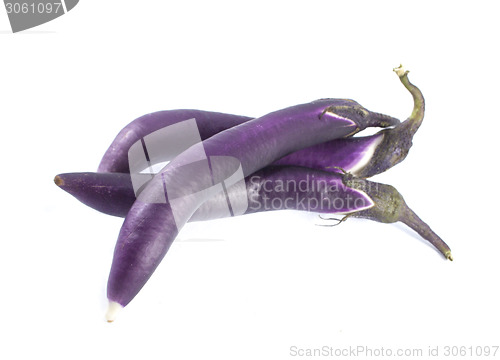 Image of Eggplant