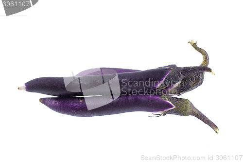 Image of Eggplant