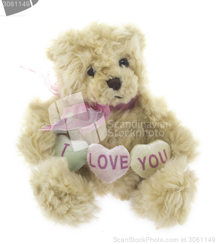 Image of cute teddy bear