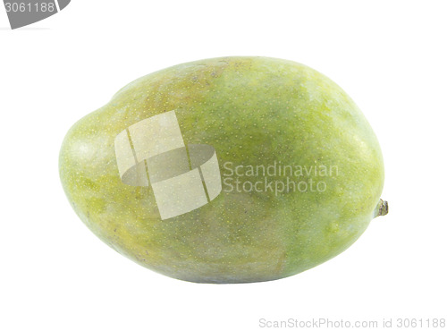 Image of Mango fruit 