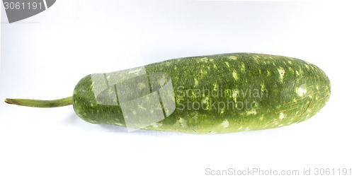Image of green gourd 