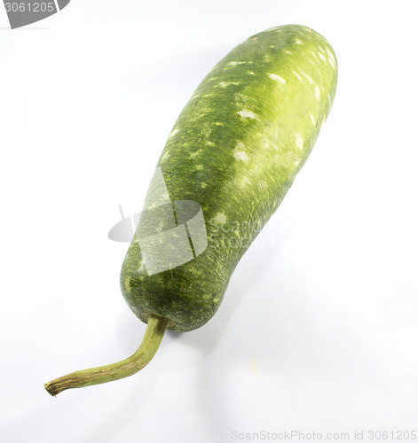 Image of green gourd 