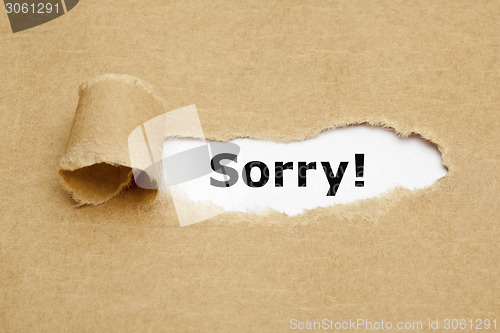 Image of Sorry Torn Paper Concept