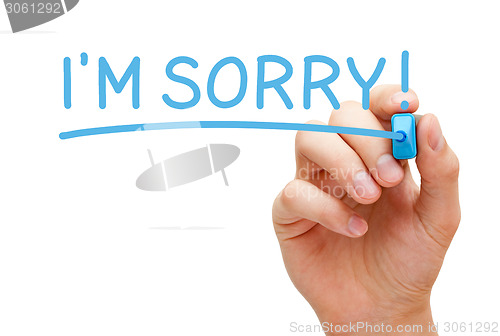 Image of Im Sorry Blue Marker