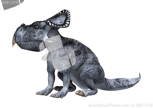 Image of Dinosaur Protoceratops