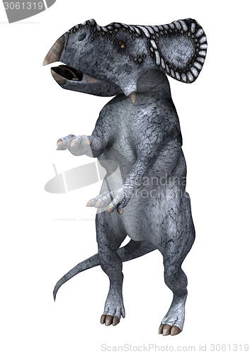 Image of Dinosaur Protoceratops