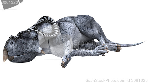 Image of Dinosaur Protoceratops