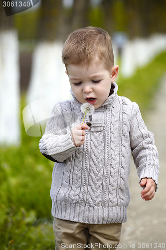 Image of 2 years old Baby boy with dandelion