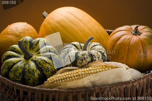 Image of harvest