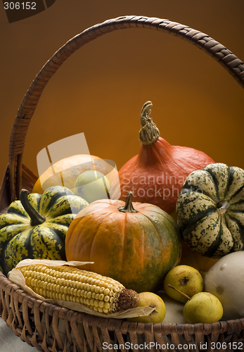 Image of harvest