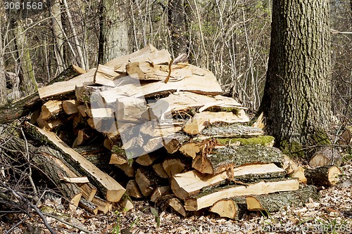 Image of pile of fire wood