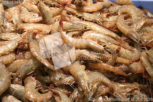 Image of Shrimps for sale