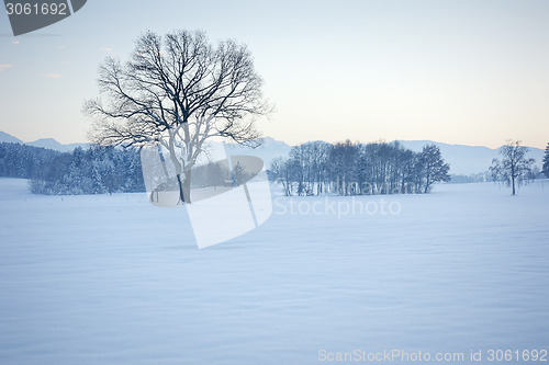 Image of winter scenery