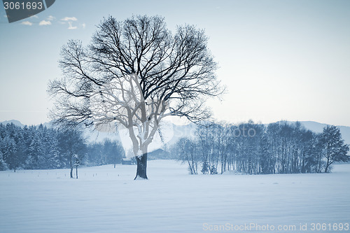 Image of winter scenery