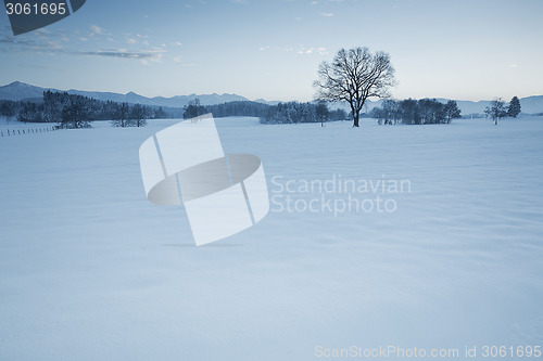 Image of winter scenery