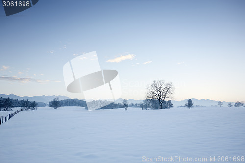 Image of winter scenery