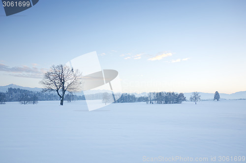 Image of winter scenery