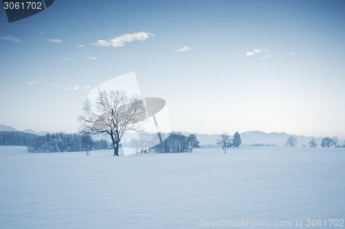 Image of winter scenery