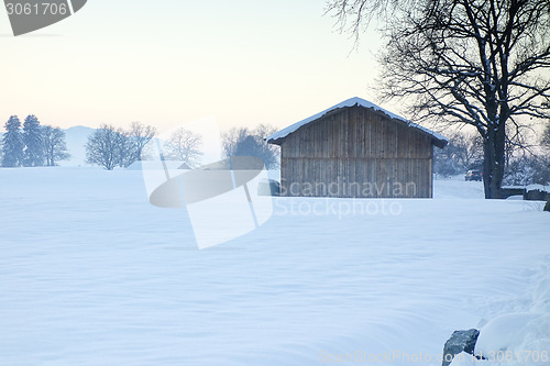 Image of winter scenery