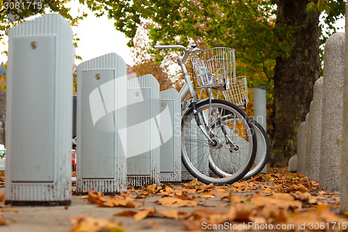 Image of Station of urban bicycles for rent