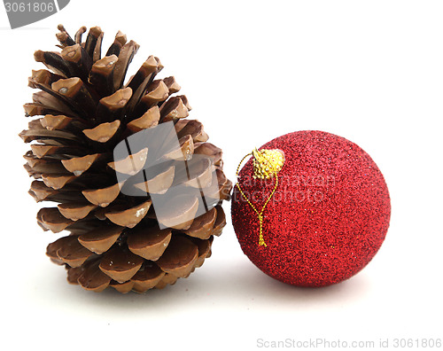 Image of pine cone 