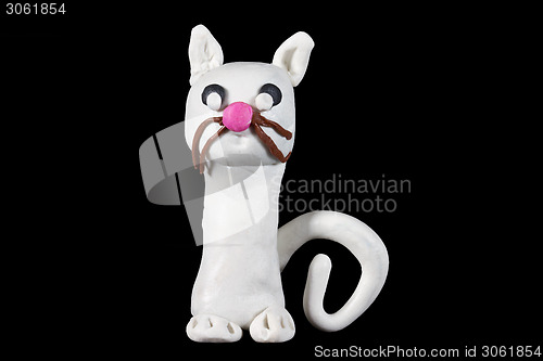 Image of White cat on a black background