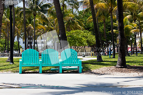 Image of Park bench among the palm trees in Miami, Florida