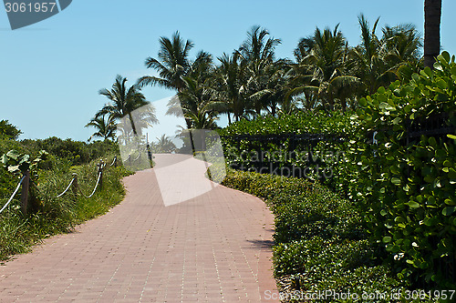 Image of Tranquil path in a tropical setting