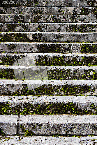 Image of Old stairs covered in moss