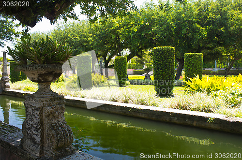 Image of Manicured ornamental garden