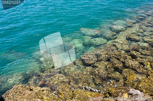 Image of Rocky ocean shore