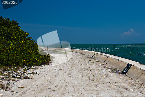 Image of Path along the ocean