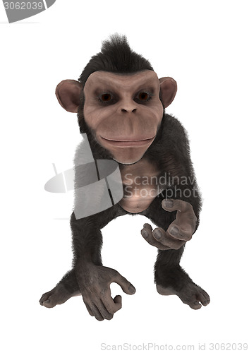 Image of Little Chimpanzee