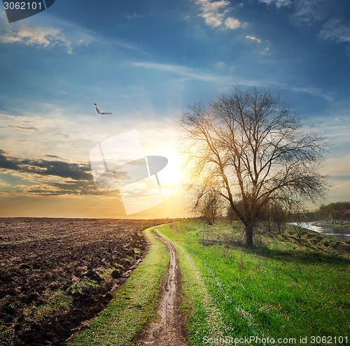 Image of Plowed field and road