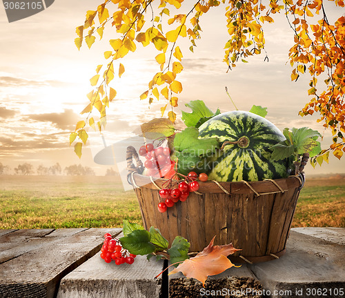 Image of Basket with watermelons