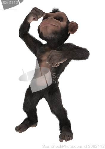 Image of Little Chimpanzee