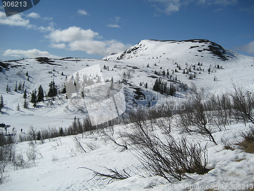 Image of Winter landscape in Numedal, Norway