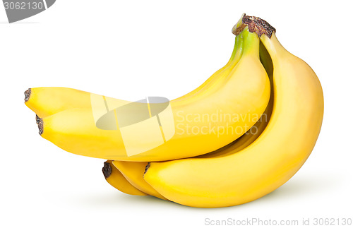 Image of Bunch Of Bananas Upend