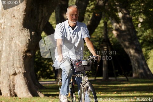 Image of Senior Man Riding Bicycle