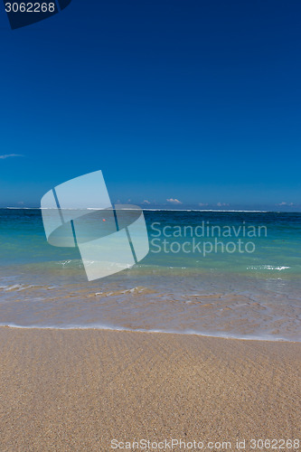 Image of Beautiful tropical beach with lush vegetation