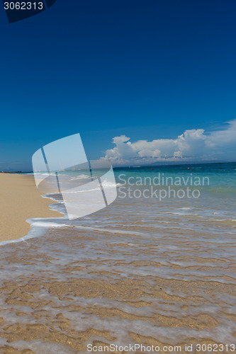 Image of Beautiful tropical beach with lush vegetation