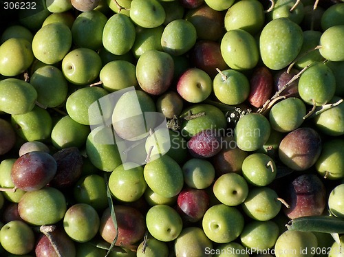 Image of Green Olives