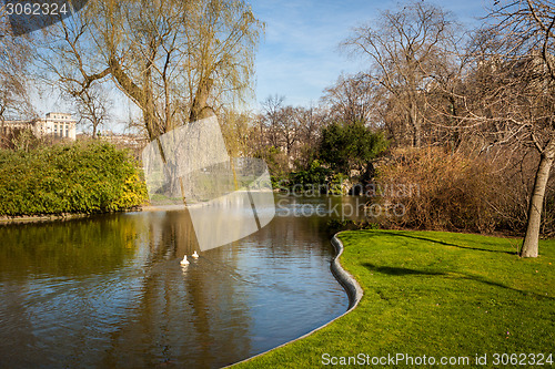 Image of Tranquil park with a pond and wildflowers