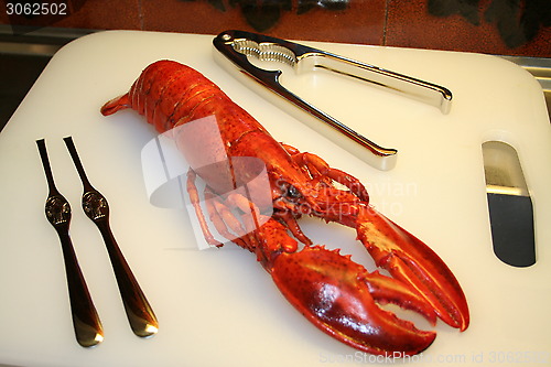 Image of Lobster