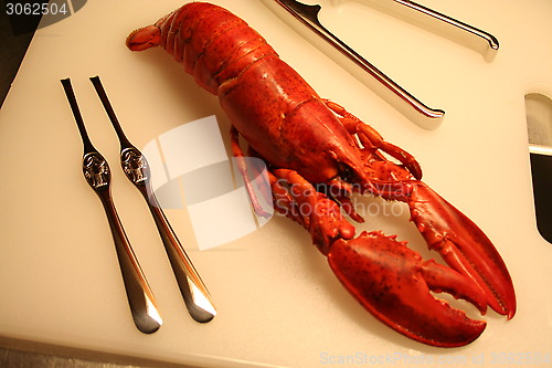 Image of Lobster