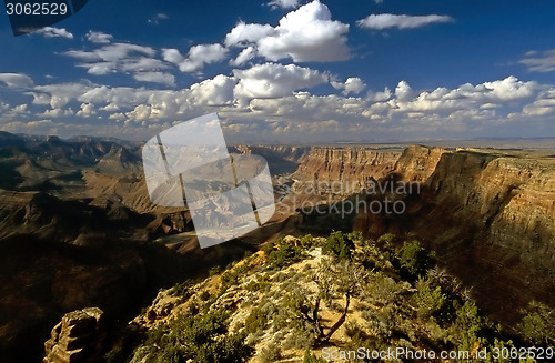 Image of Grand Canyon