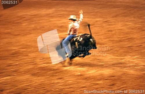 Image of Rodeo