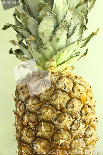 Image of Ripe pineapple